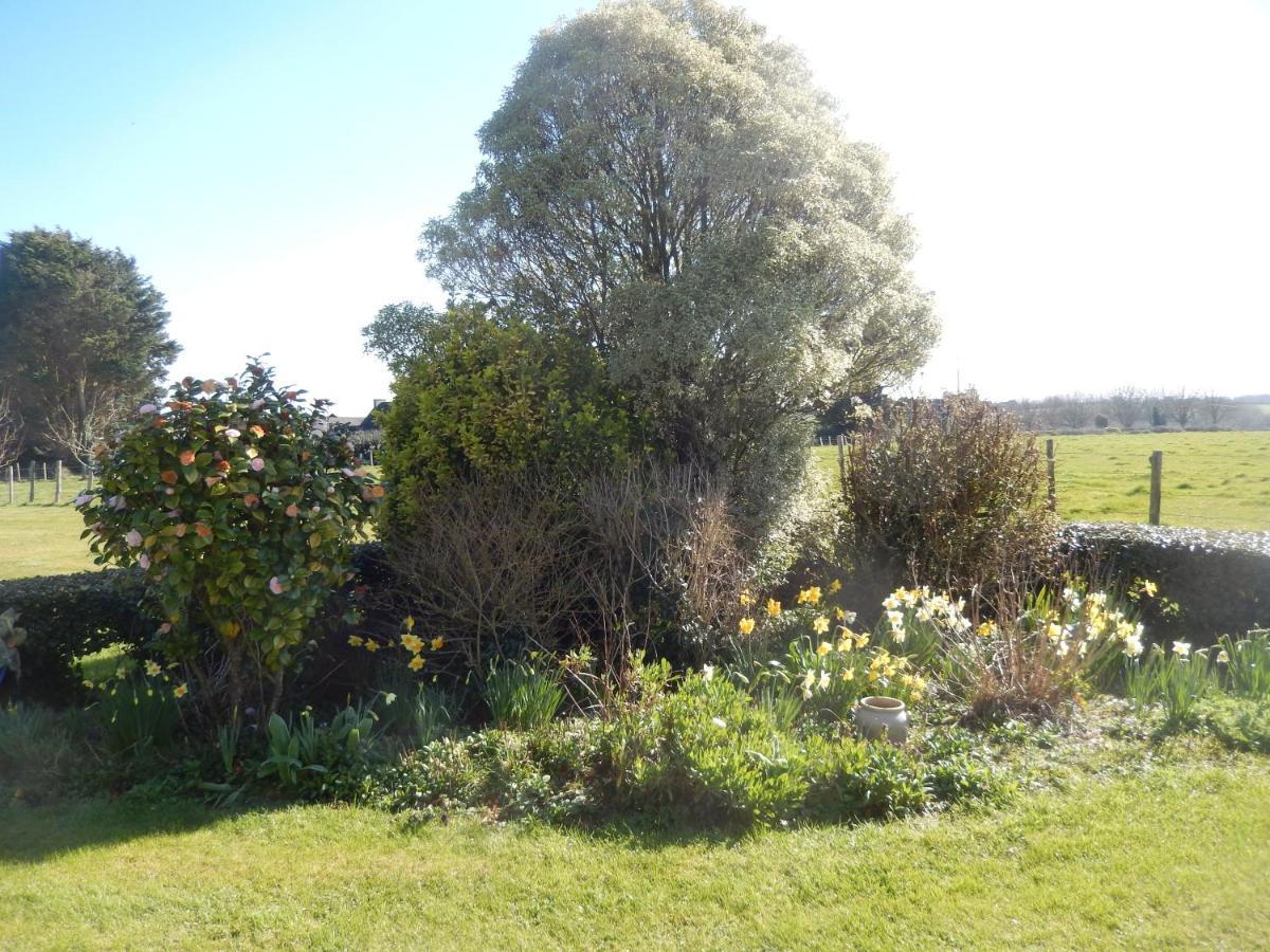 Le Tregonnec, Pres De Morlaix, Roscoff Bed & Breakfast Plouvorn Exterior photo